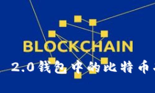 Tokenim 2.0钱包中的比特币功能详解