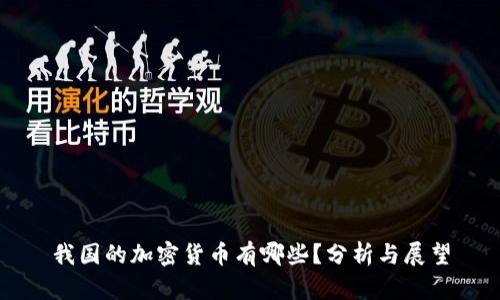我国的加密货币有哪些？分析与展望