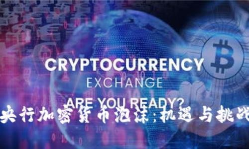 央行加密货币泡沫：机遇与挑战