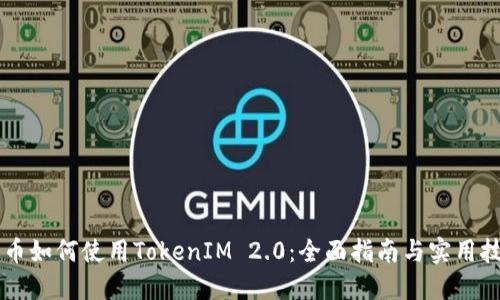 黑币如何使用TokenIM 2.0：全面指南与实用技巧