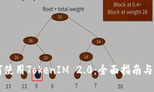 黑币如何使用TokenIM 2.0：全面指南与实用技巧