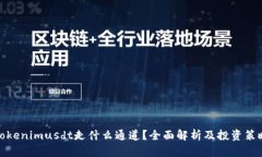 Tokenimusdt走什么通道？全面解析及投资策略