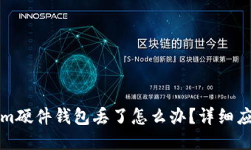 Tokenim硬件钱包丢了怎么办？详细应对指南