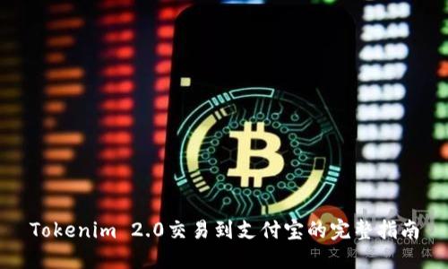 Tokenim 2.0交易到支付宝的完整指南