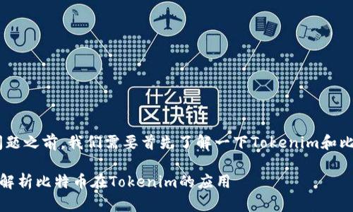 在回答“tokenim可以放BTC吗”的问题之前，我们需要首先了解一下Tokenim和比特币（BTC）的相关背景和基本知识。

### Tokenim可以放BTC吗？全面解析比特币在Tokenim的应用