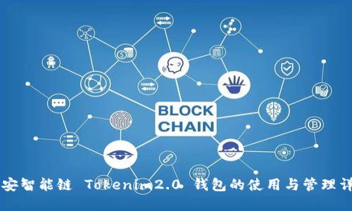 币安智能链 Tokenim2.0 钱包的使用与管理详解