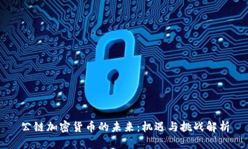 公链加密货币的未来：机遇与挑战解析