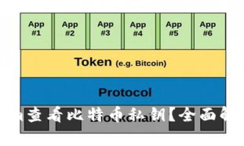 如何使用Tokenim查看比特币私钥？全面解析方法与安全性