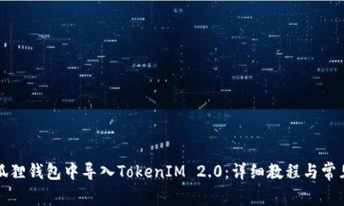 如何在小狐狸钱包中导入TokenIM 2.0：详细教程与常见问题解答