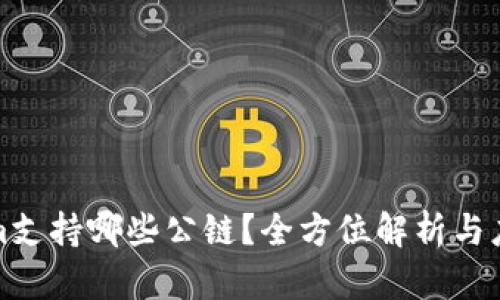 Tokenim支持哪些公链？全方位解析与应用场景