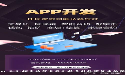 Tokenim 2.0：探索为何它不支持多种数字货币的深度分析