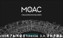 国内iOS用户如何安装Tokenim 2.0：详细步骤和指南