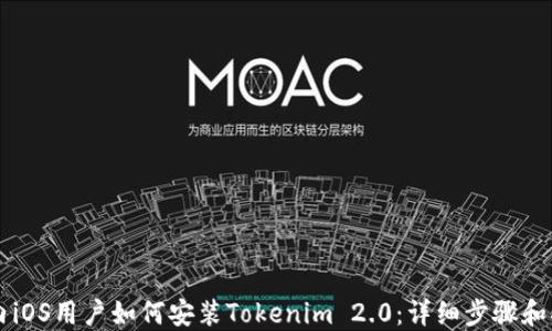 
国内iOS用户如何安装Tokenim 2.0：详细步骤和指南