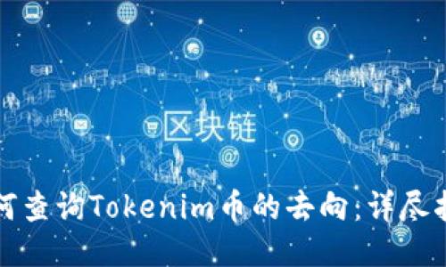 如何查询Tokenim币的去向：详尽指南