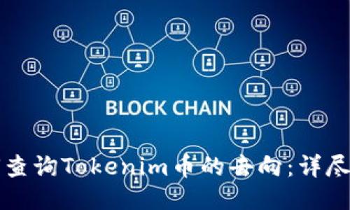 如何查询Tokenim币的去向：详尽指南