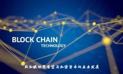 新加坡世界首富与加密货币的未来发展