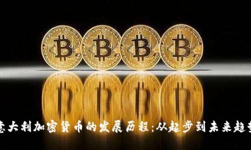意大利加密货币的发展历程:从起步到未来趋势