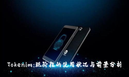 Tokenim：现阶段的使用状况与前景分析