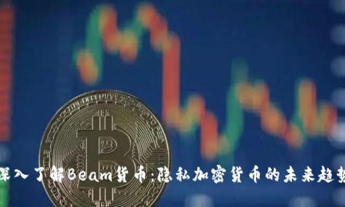 深入了解Beam货币:隐私加密货币的未来趋势