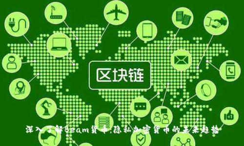 深入了解Beam货币:隐私加密货币的未来趋势