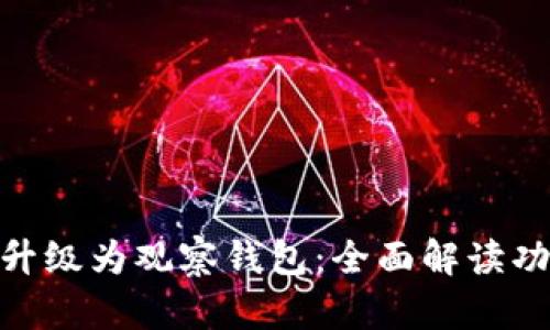 Tokenim升级为观察钱包：全面解读功能与应用