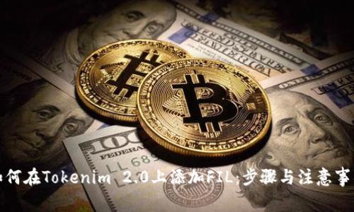 如何在Tokenim 2.0上添加FIL：步骤与注意事项