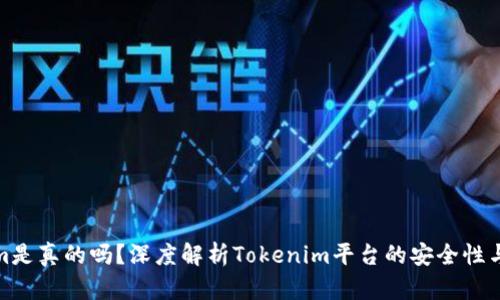 Tokenim是真的吗？深度解析Tokenim平台的安全性与可靠性