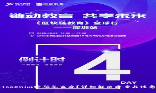 忘记Tokenim密码怎么办？详细解决方案与注意事项