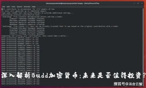 深入解析Budd加密货币:未来是否值得投资?
