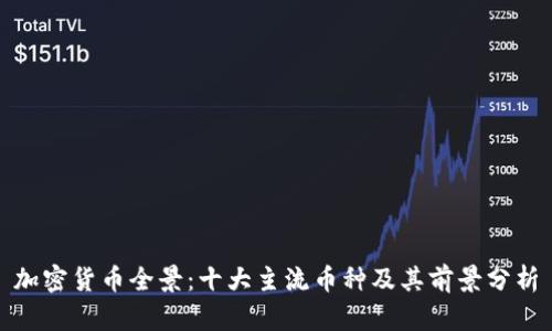 加密货币全景:十大主流币种及其前景分析