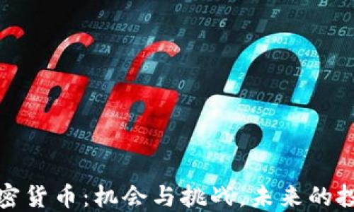 模因加密货币:机会与挑战,未来的投资趋势