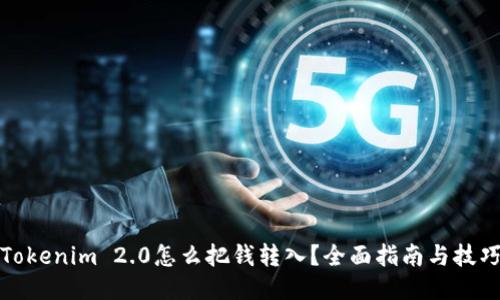 Tokenim 2.0怎么把钱转入?全面指南与技巧