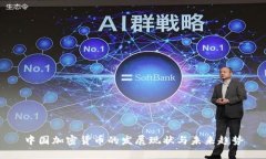 中国加密货币的发展现状与未来趋势