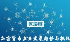 数字加密货币未来发展趋势与挑战分析