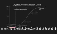 Tokenim 2.0消失后的应对策略与解决方案