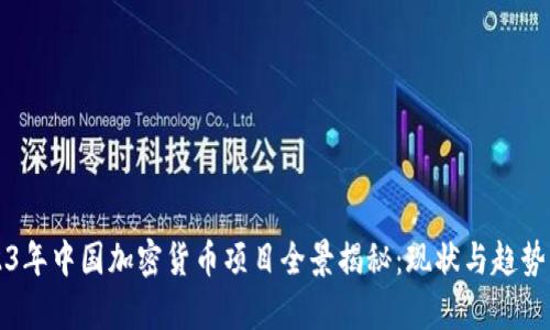 2023年中国加密货币项目全景揭秘:现状与趋势分析