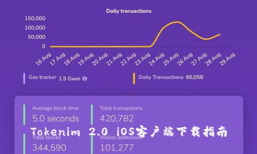 Tokenim 2.0 iOS客户端下载指南
