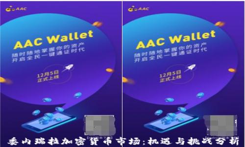 委内瑞拉加密货币市场:机遇与挑战分析