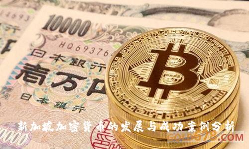 新加坡加密货币的发展与成功案例分析