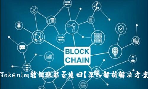 Tokenim转错账能否追回?深入解析解决方案