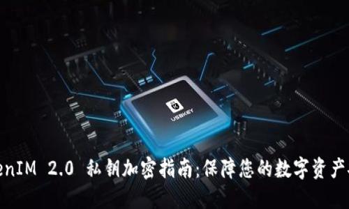 TokenIM 2.0 私钥加密指南：保障您的数字资产安全