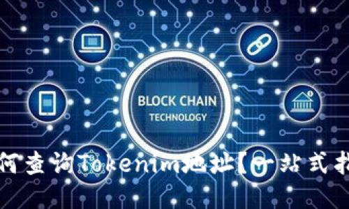 如何查询Tokenim地址？一站式指南