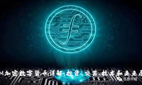 CTM加密数字货币详解：投资、交易、技术和未来展望