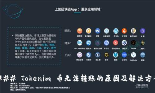 ### Tokenim 币无法转账的原因及解决方案
