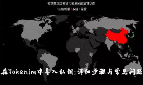 如何在Tokenim中导入私钥:详细步骤与常见问题解答