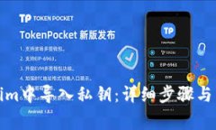 如何在Tokenim中导入私钥：详细步骤与常见问题解