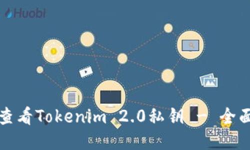如何查看Tokenim 2.0私钥 - 全面教程