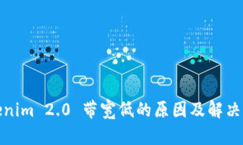 Tokenim 2.0 带宽低的原因及解决方案