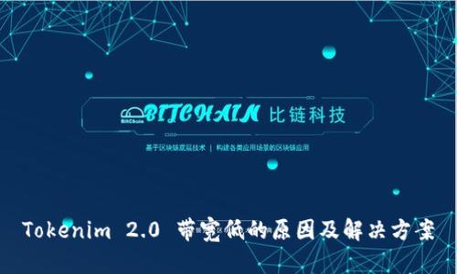 Tokenim 2.0 带宽低的原因及解决方案