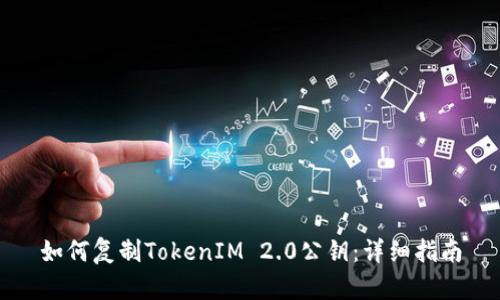 如何复制TokenIM 2.0公钥:详细指南